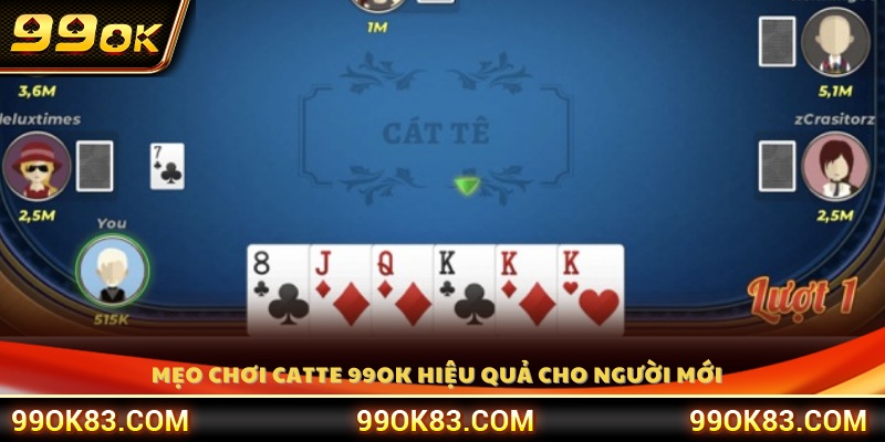 Bật mí mẹo chơi Catte hiệu quả 