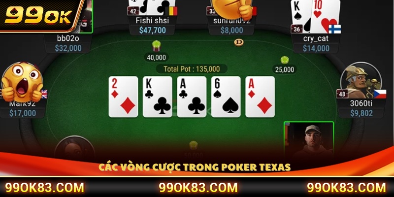 Giới thiệu chi tiết các vòng cược