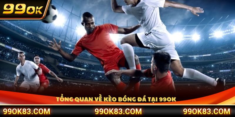 Giới thiệu kèo bóng đá 99 OK