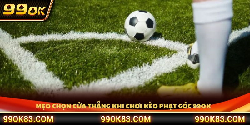 Mẹo chọn cửa thắng hiệu quả khi tham gia kèo 