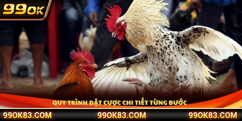 Các bước thực hiện cược chi tiết 
