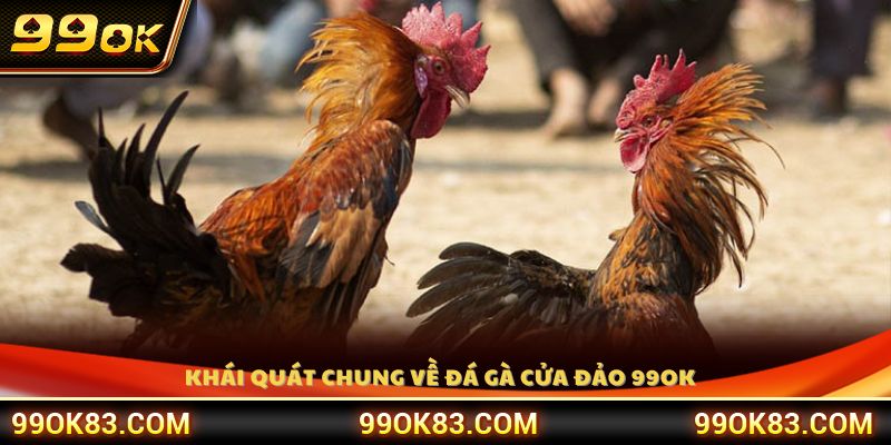 Tổng quan về hình thức đá gà cựa dao