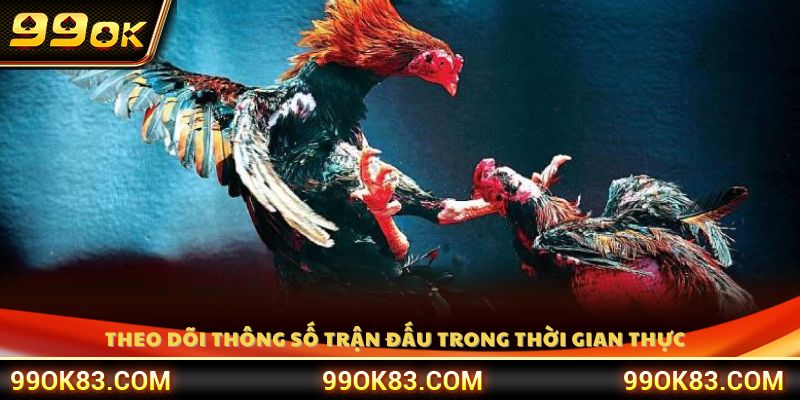 Quan sát các chỉ số thi đấu được cập nhật trực tiếp