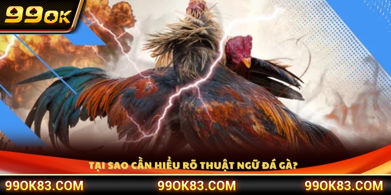 Lý do cần nắm vững các thuật ngữ đá gà 