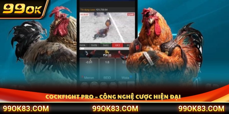 Cockfight Pro – Nền tảng công nghệ tiên tiến